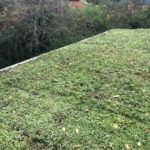Green roof complete