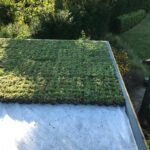 GRP Fibreglass Green roof